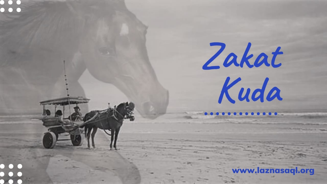 Harta Seperti Apa Yang Wajib Dizakati? Lalu Bagaimana Dengan Zakat Kuda?